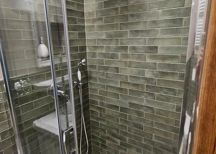 Baltic Swans - * סופוט